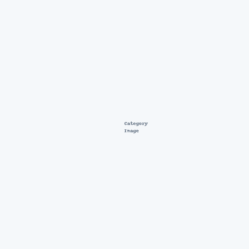 Uncategorized